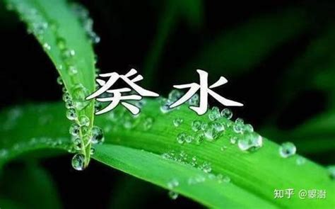 葵水命格|【葵 水】癸水命運：解開葵水命格的秘密！